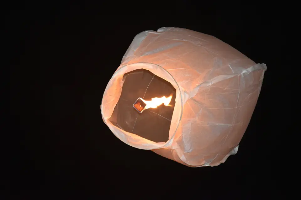 Sophie's Events — photo 4