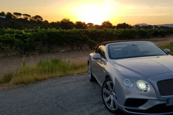 LSV Prestige — photo 5