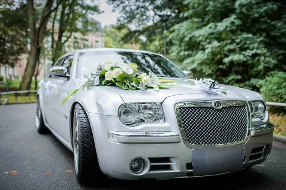 LSV Prestige — photo 2