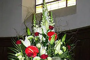 Au Jardin Provençal — photo 7