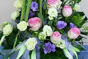 Au Jardin Provençal — photo 8