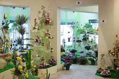 Fleurs de l'Ile — photo 5