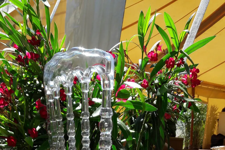 Séma Réception — photo 2