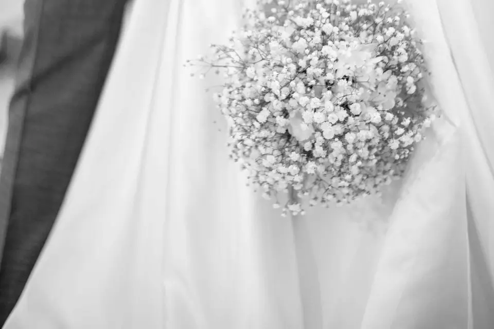 Camscape Weddings — photo 5