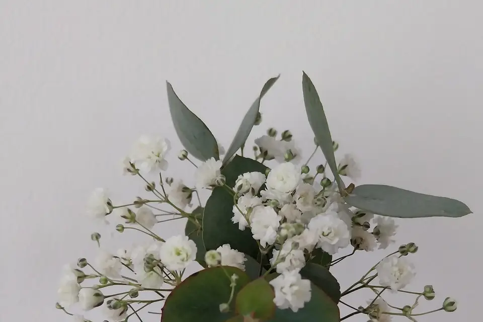 Flora Sens — photo 2