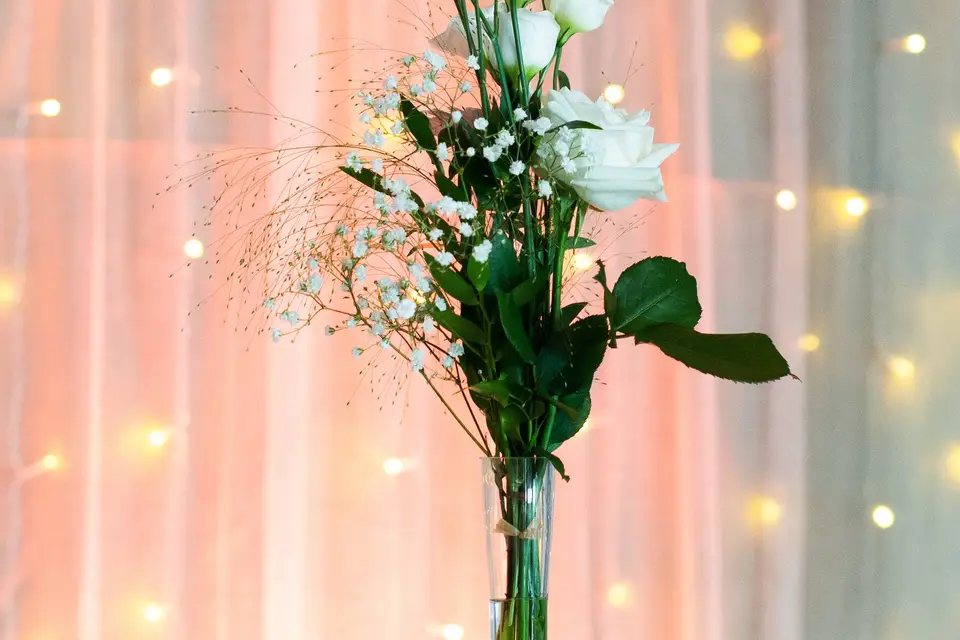 La Rimonnière — photo 5