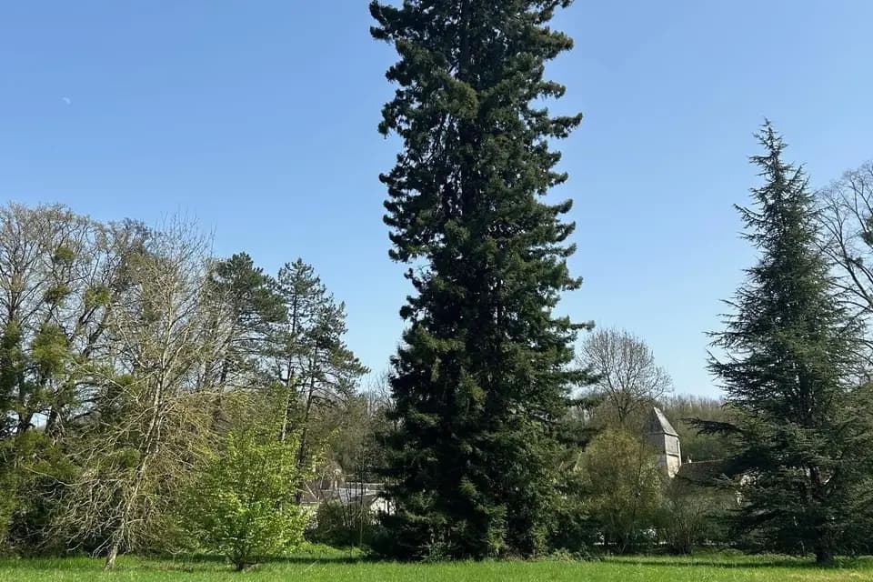 Prieuré Saint Martin — photo 5