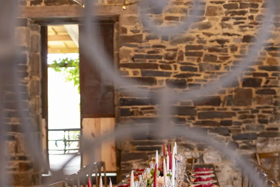 Domaine du Tertre Ychot — photo 2