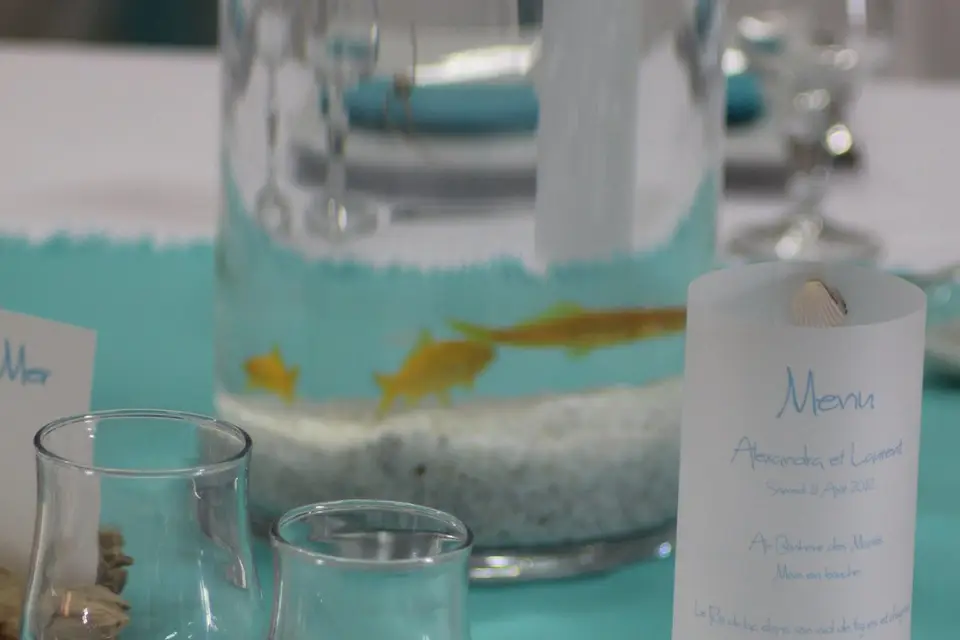 Nuances Décoration — photo 3