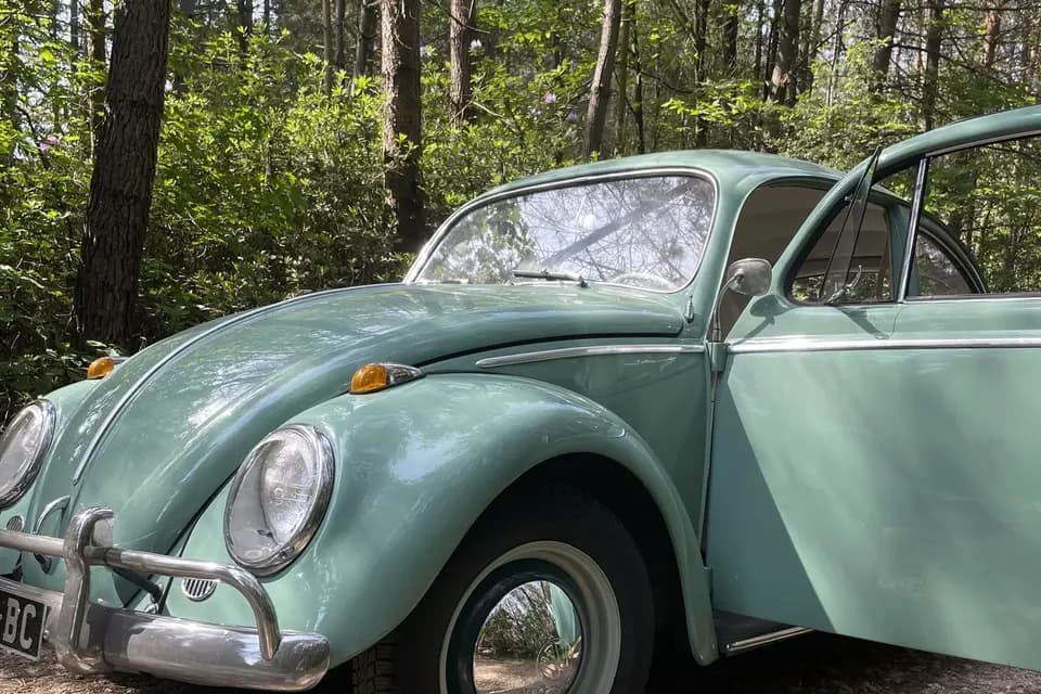 Ludivine Gaillard — photo 6