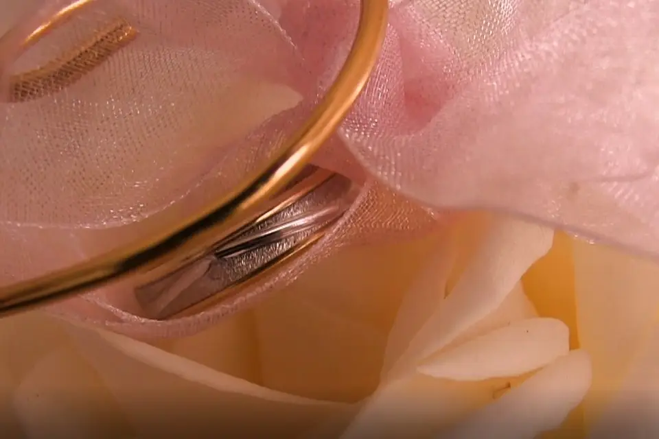 MB-Vision — photo 1