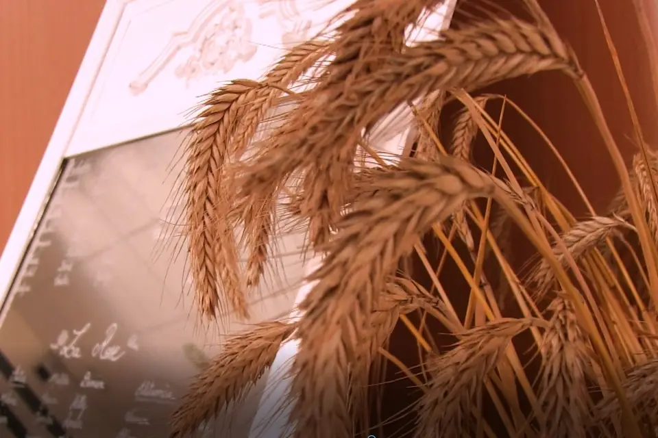 MB-Vision — photo 4