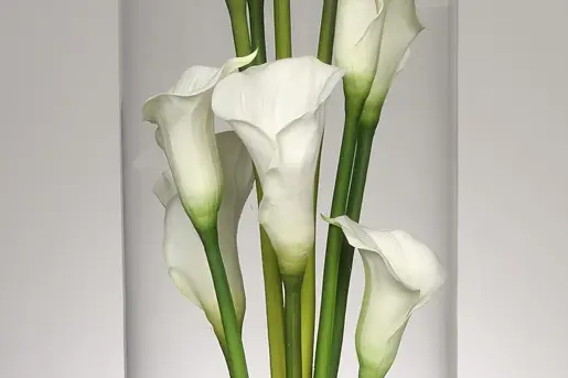 Orafleur - Compositions florales artificielles — photo 7