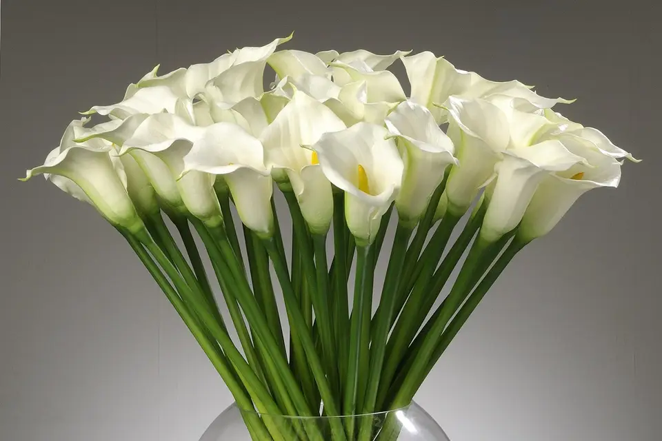 Orafleur - Compositions florales artificielles — photo 8