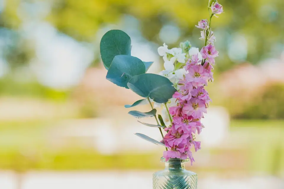 Wedding Art OCM — photo 8