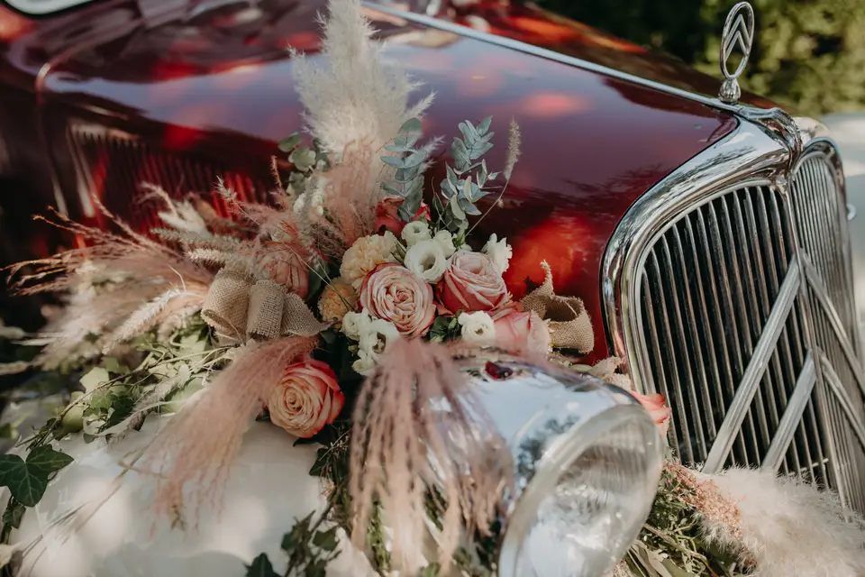 Aura Events — photo 6