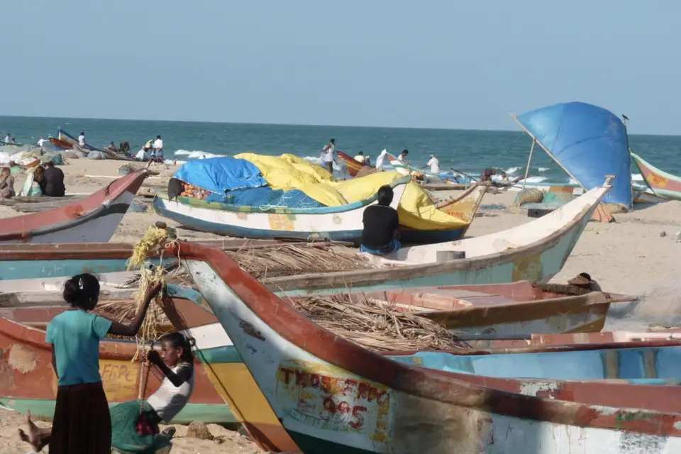 Off-Trail Travel — photo 8