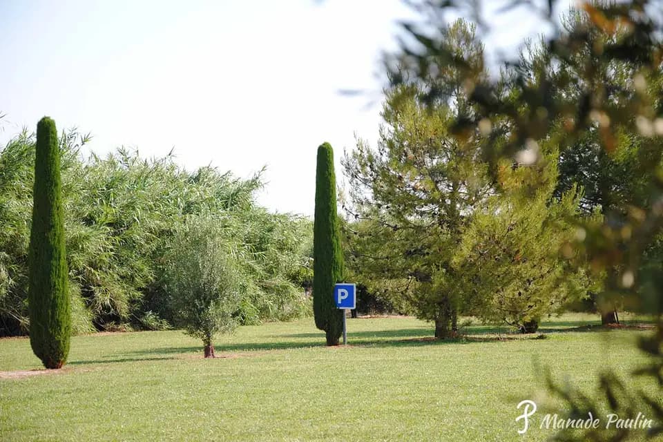 Manade Paulin — photo 6