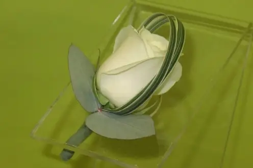 Couleur Nature — photo 5