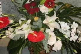 Couleur Nature — photo 8