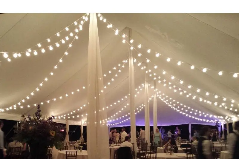 Cobra Sonorisation — photo 8