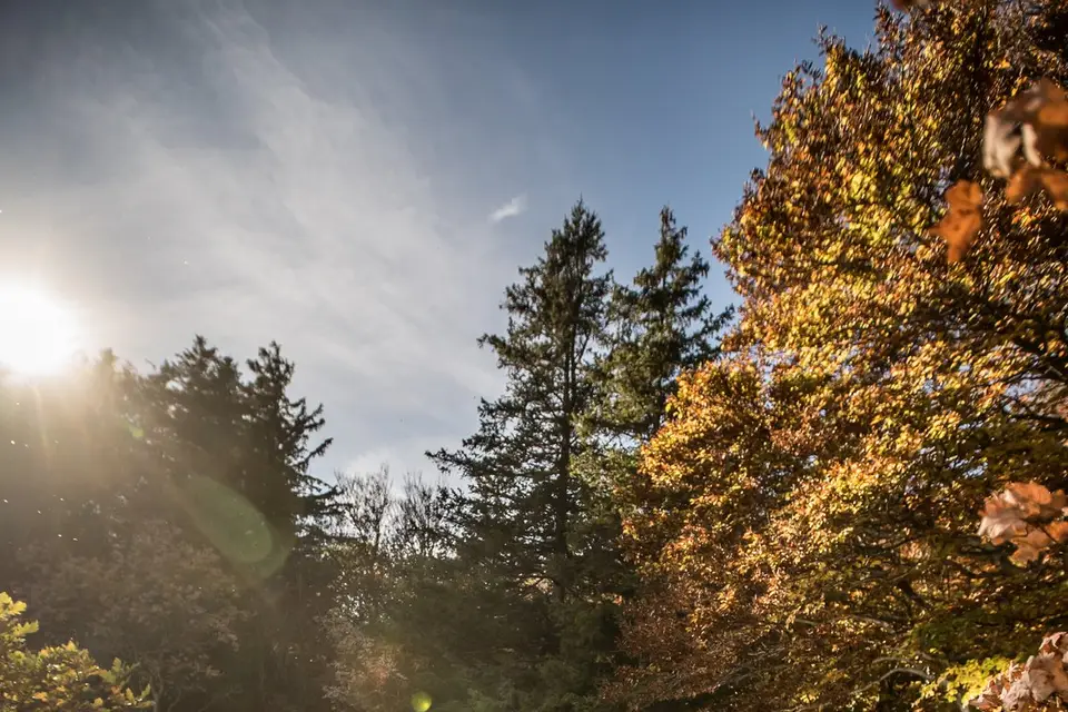 Shoot'in Factory — photo 7