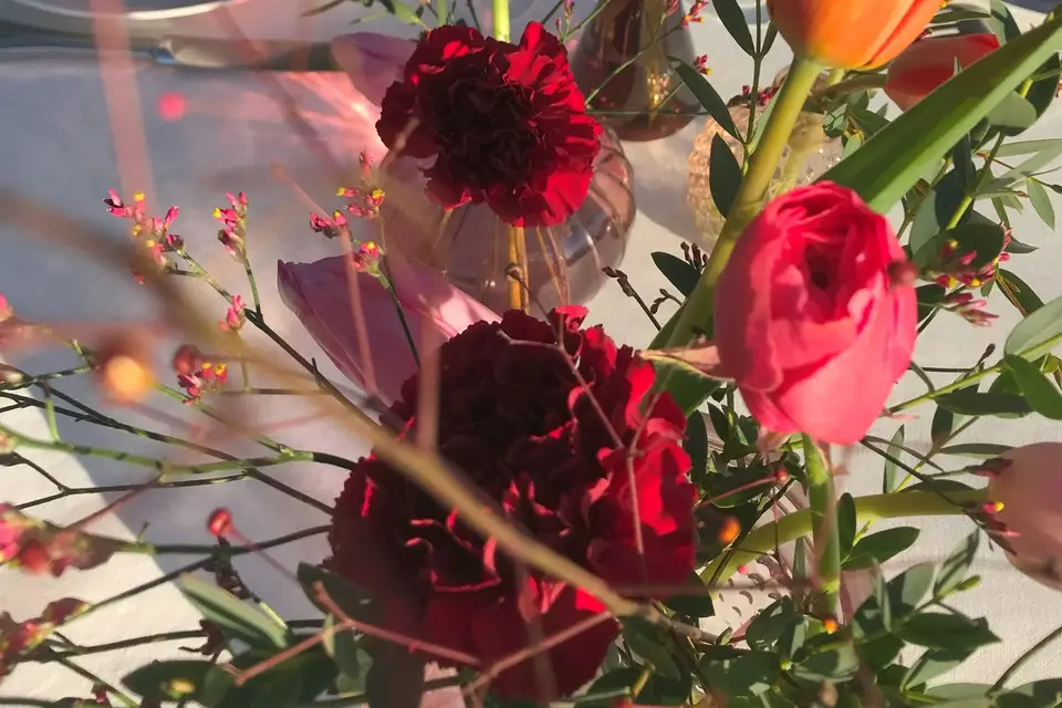 Charlotte Degry — photo 2