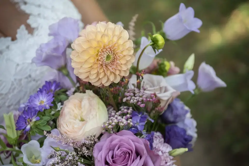 JC Wedding — photo 3