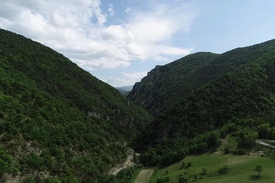 MLV Concept — photo 2