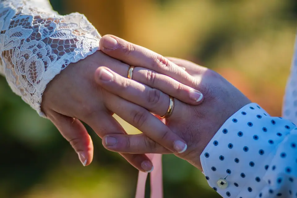 MLV Concept — photo 7