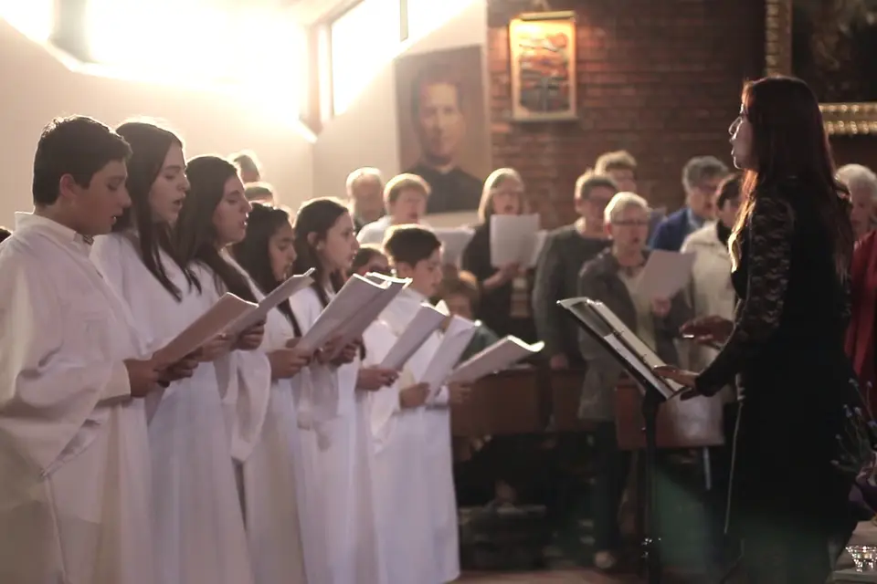 Coccideo — photo 5