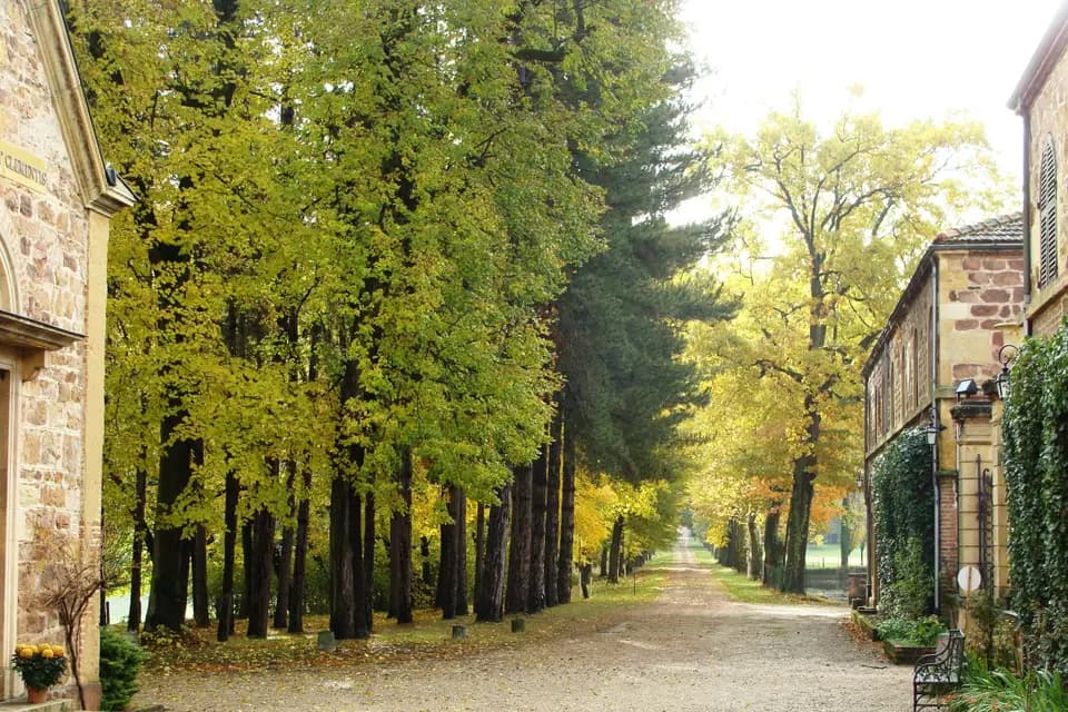 Château d'Ailly — photo 8