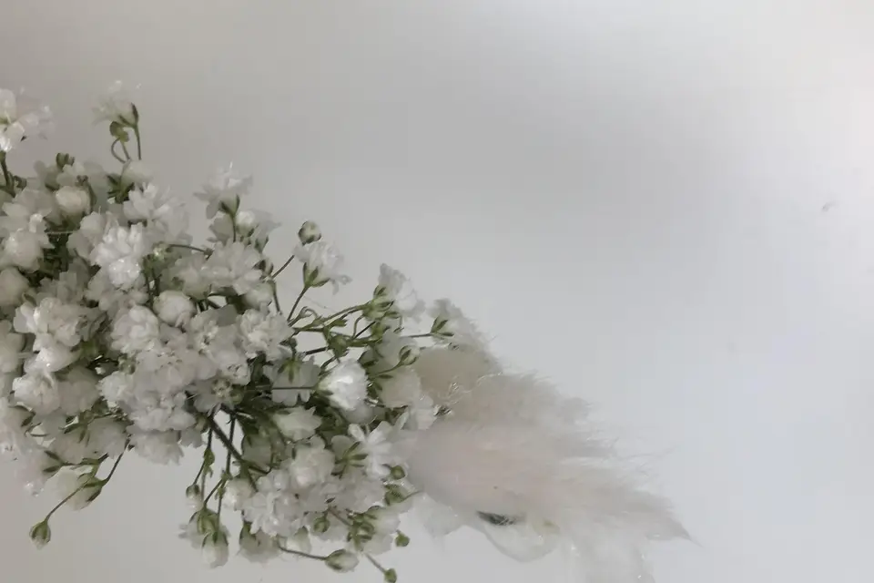 Fleurs d'Osserain — photo 7