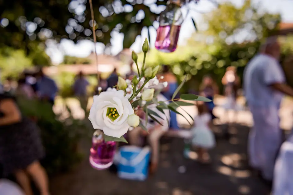 Fleurs d'Osserain — photo 8