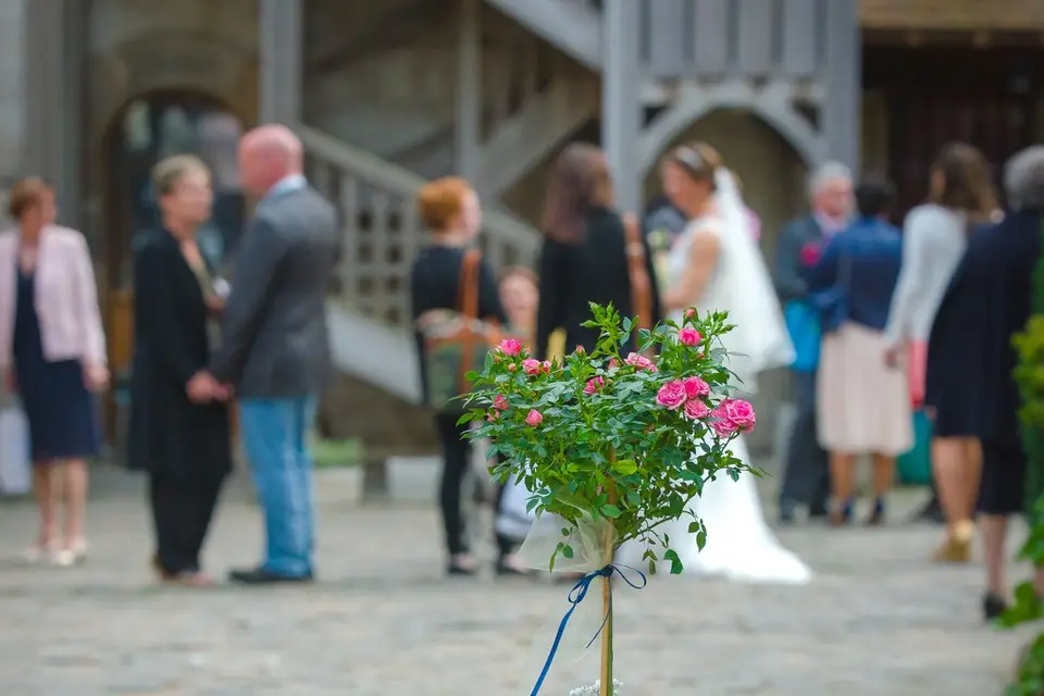 Blanche de Castille — photo 6