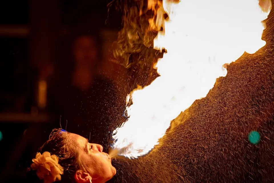 Compagnie Poly — photo 6