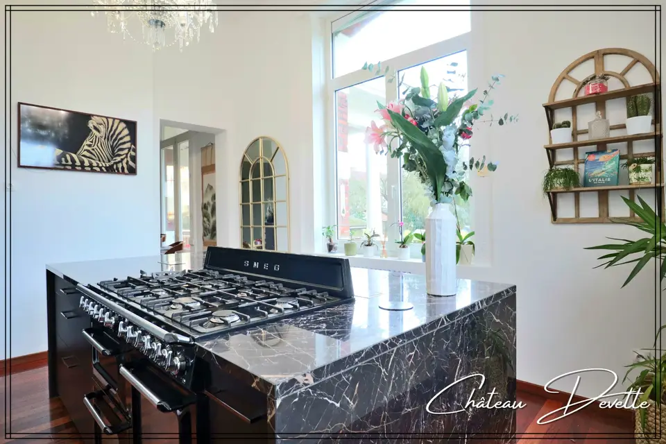 Château Devette — photo 2