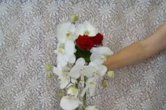 Fleurs et Jardins — photo 1