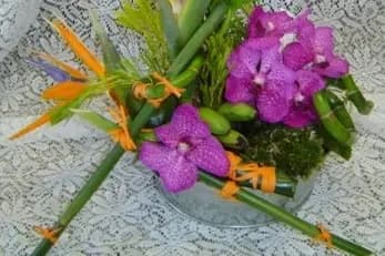 Fleurs et Jardins — photo 6