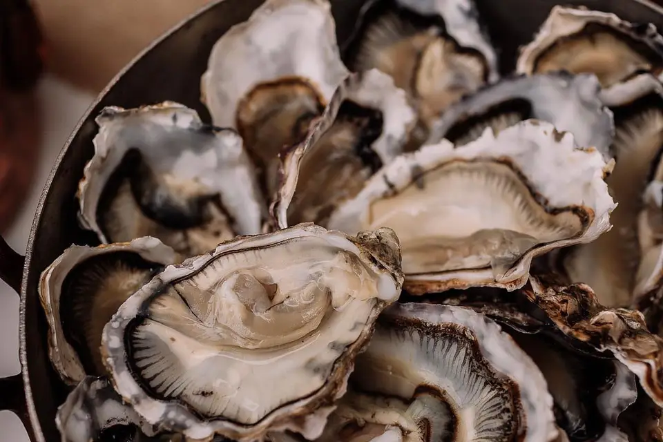 Seve & Chapoton — photo 5