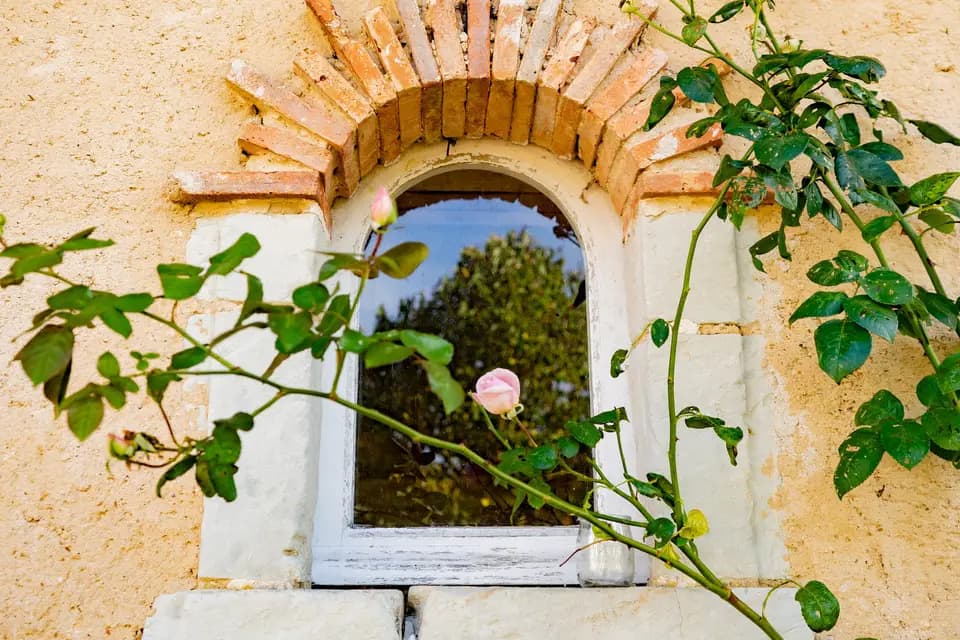 Haras de la Potardière — photo 8