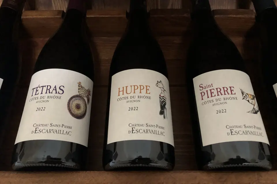 Domaine Saint Pierre d'Escarvaillac — photo 7