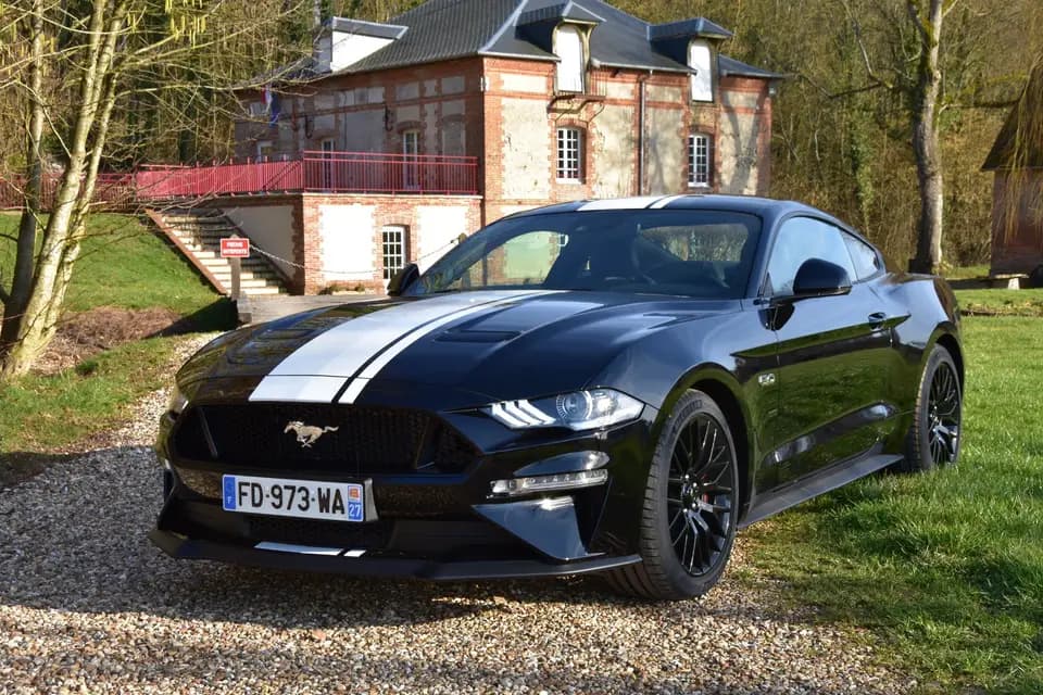 Elite-Location — photo 2