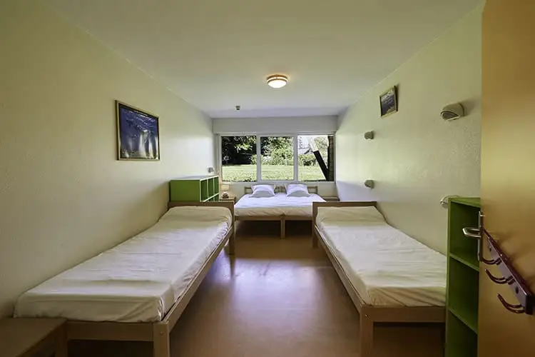 Branfere - Parc Animalier et Botanique — photo 3