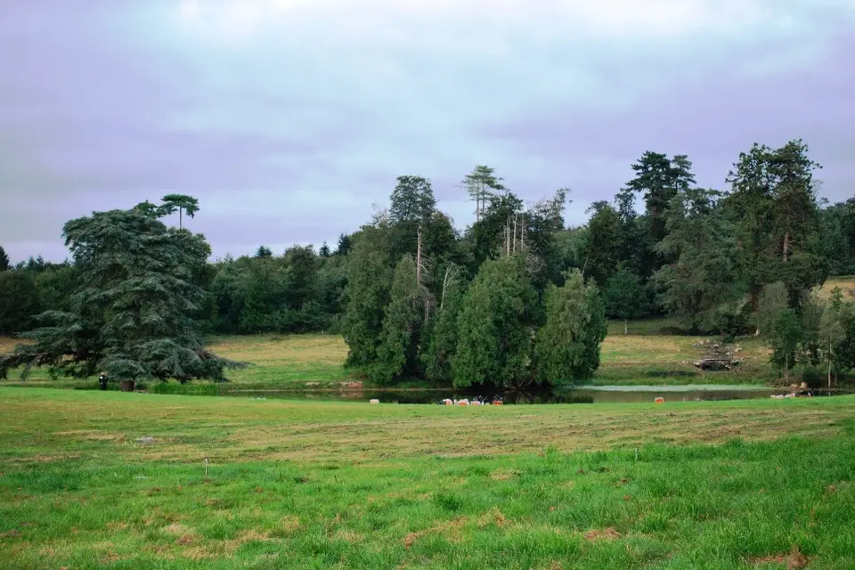 Château du Rumen — photo 4