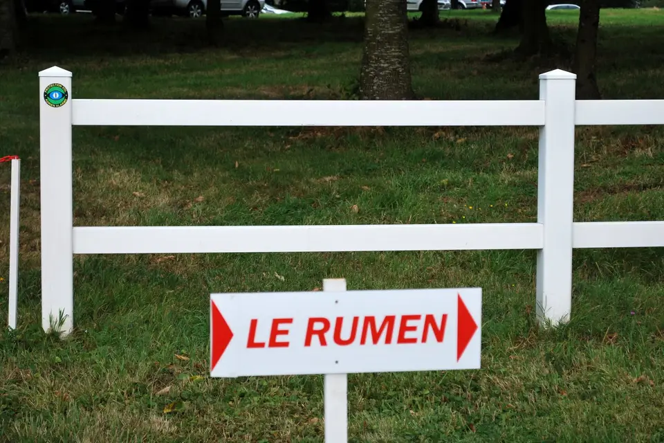 Château du Rumen — photo 2