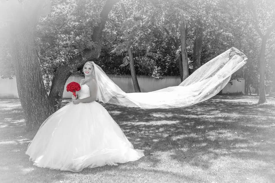 HSD Photo — photo 4