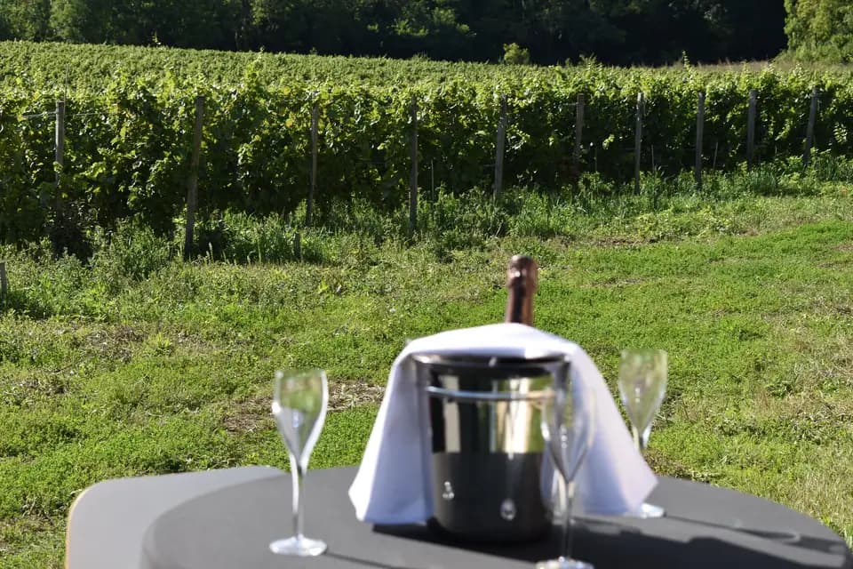 Le truck à bulles — photo 2