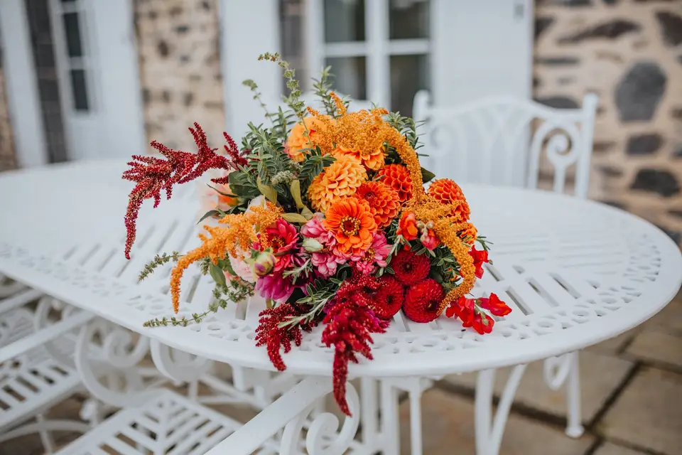 La Ferme Des Vieilles Cours