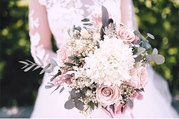 Cygnelys — photo 7